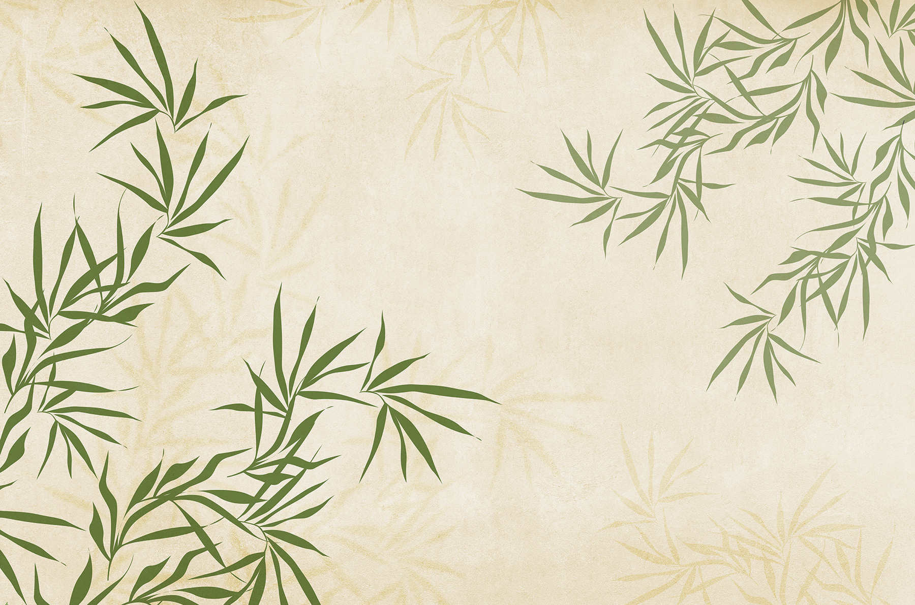 A green leaves on a white background