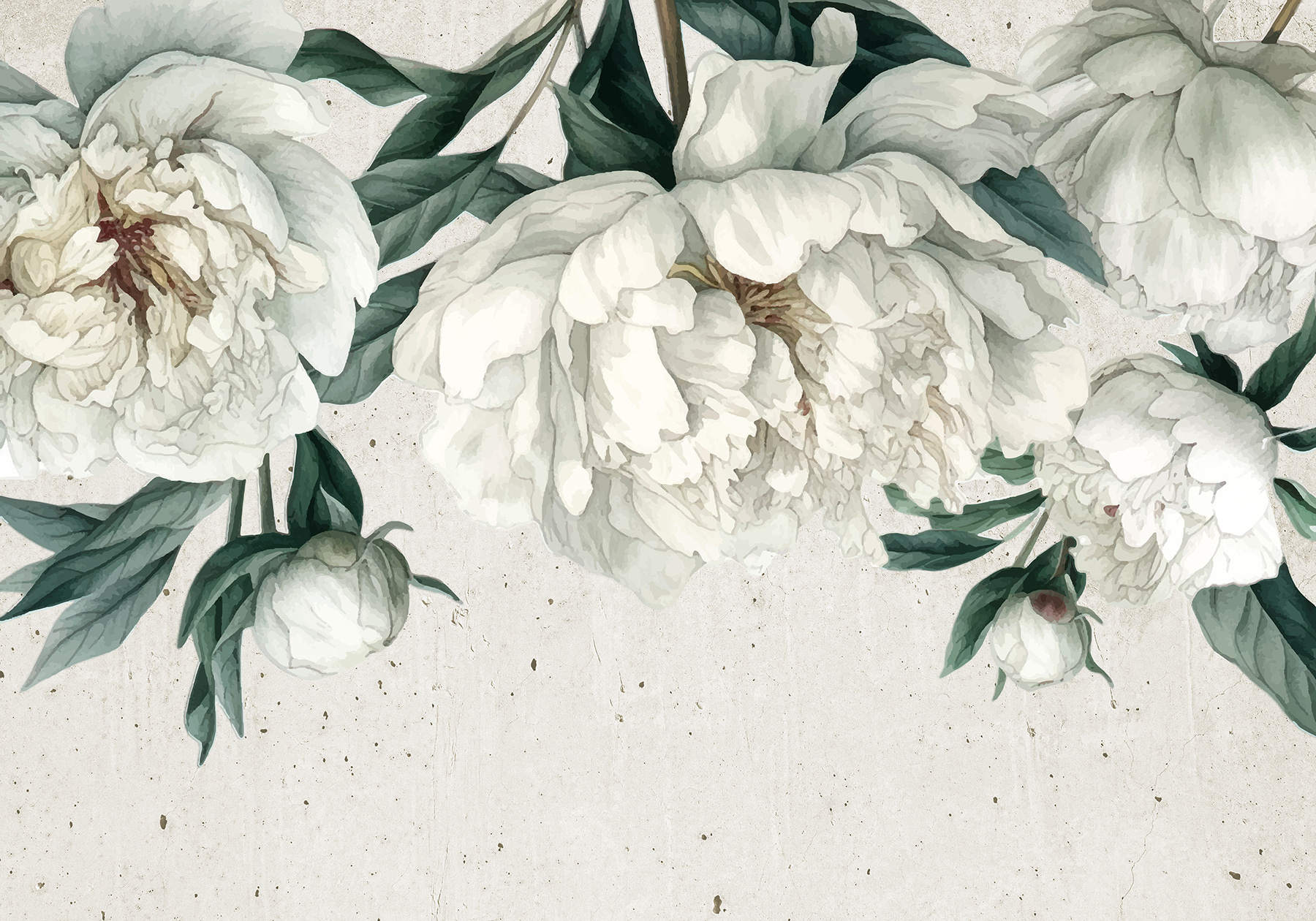 A close up of flowers A close up of flowers