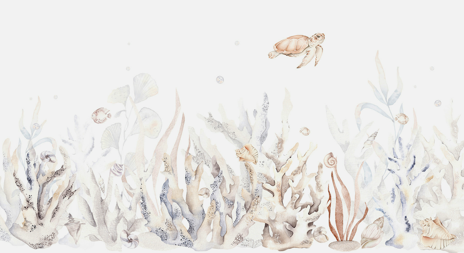 A seaweed and seaweeds on a white background