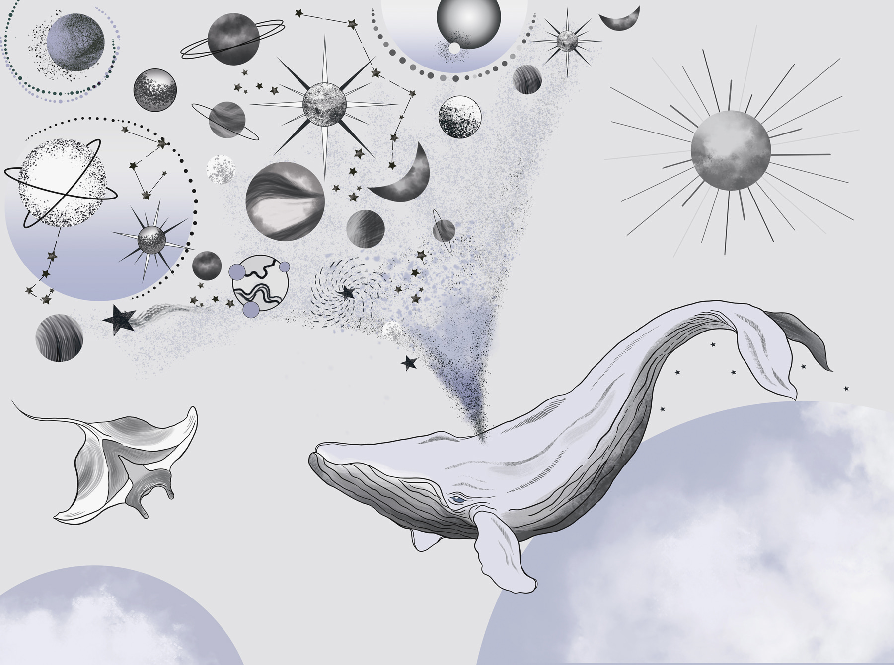 A whale and planets A whale and planets