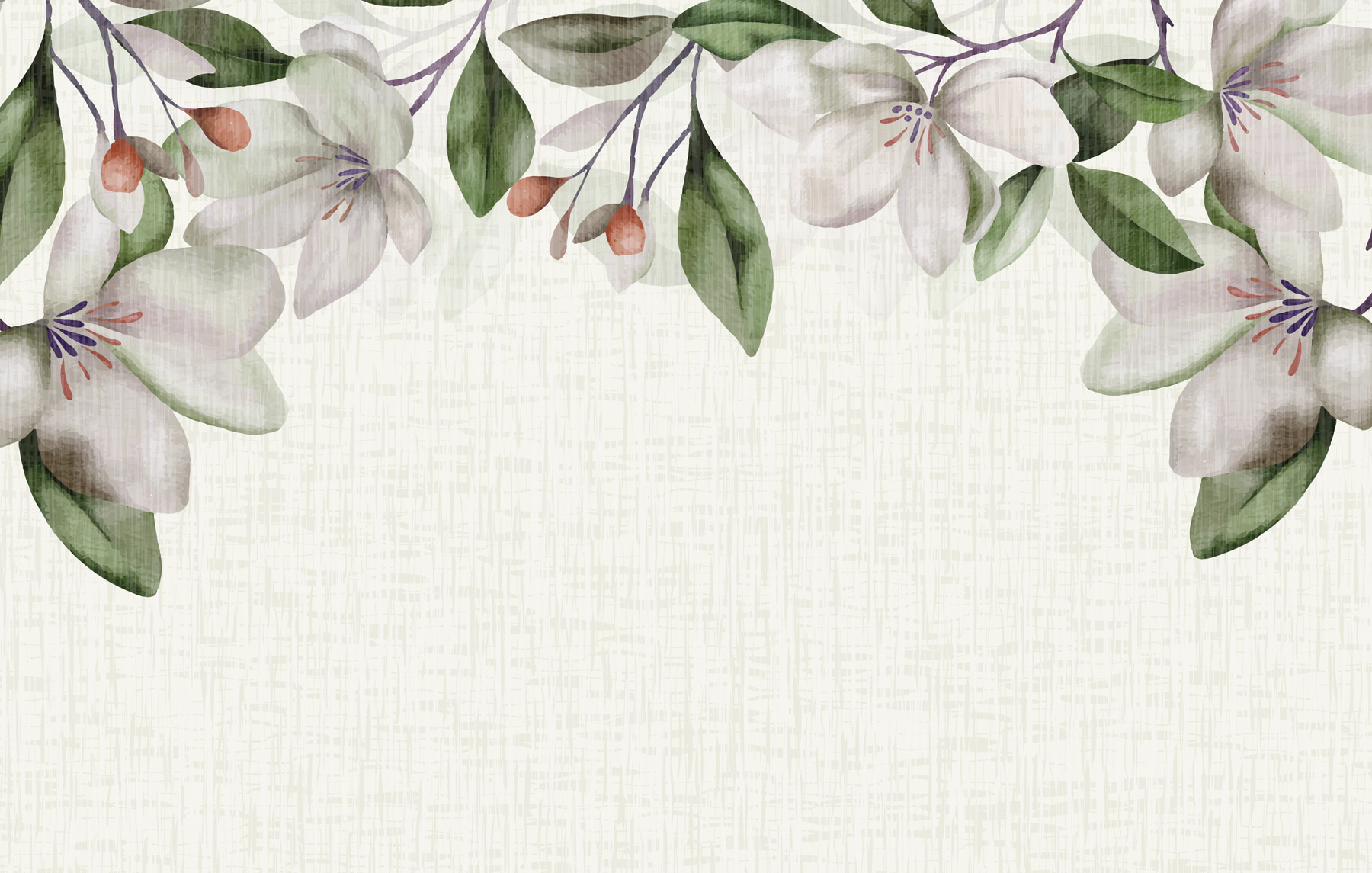 A white flowers and green leaves