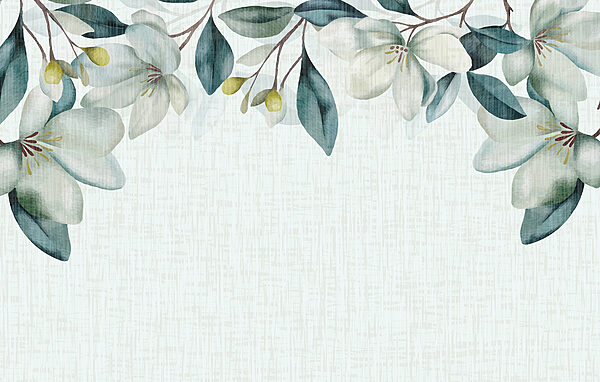A white flowers and green leaves