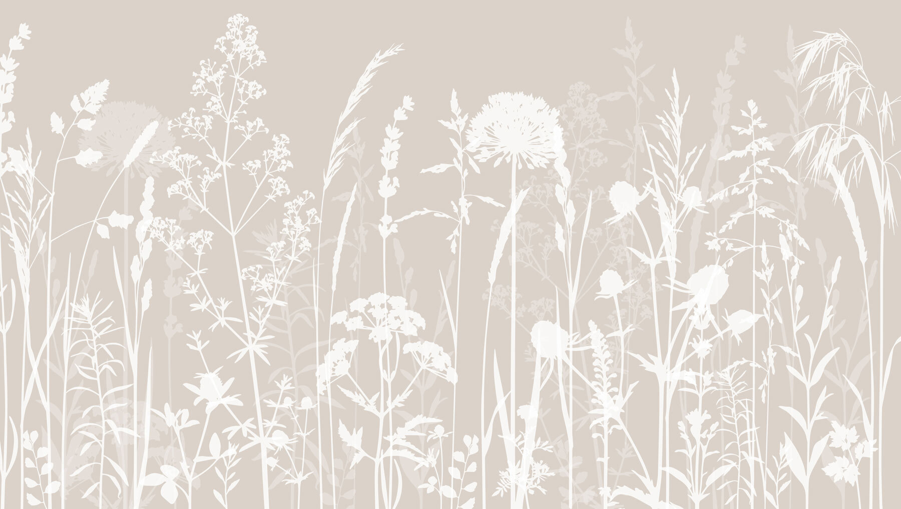 A white silhouettes of flowers A white silhouettes of flowers