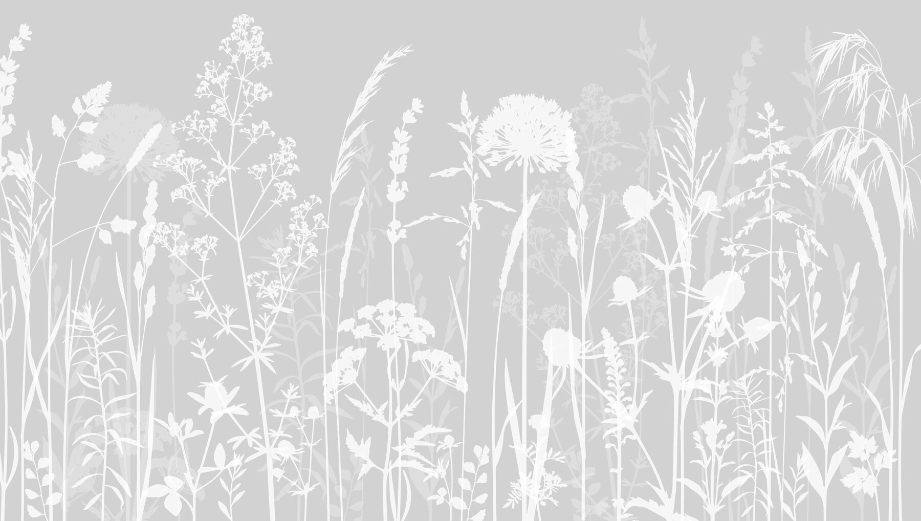 A white silhouettes of flowers A white silhouettes of flowers