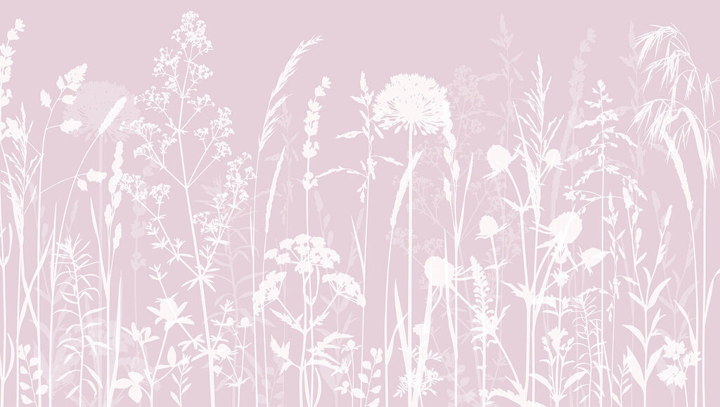 A white silhouettes of flowers