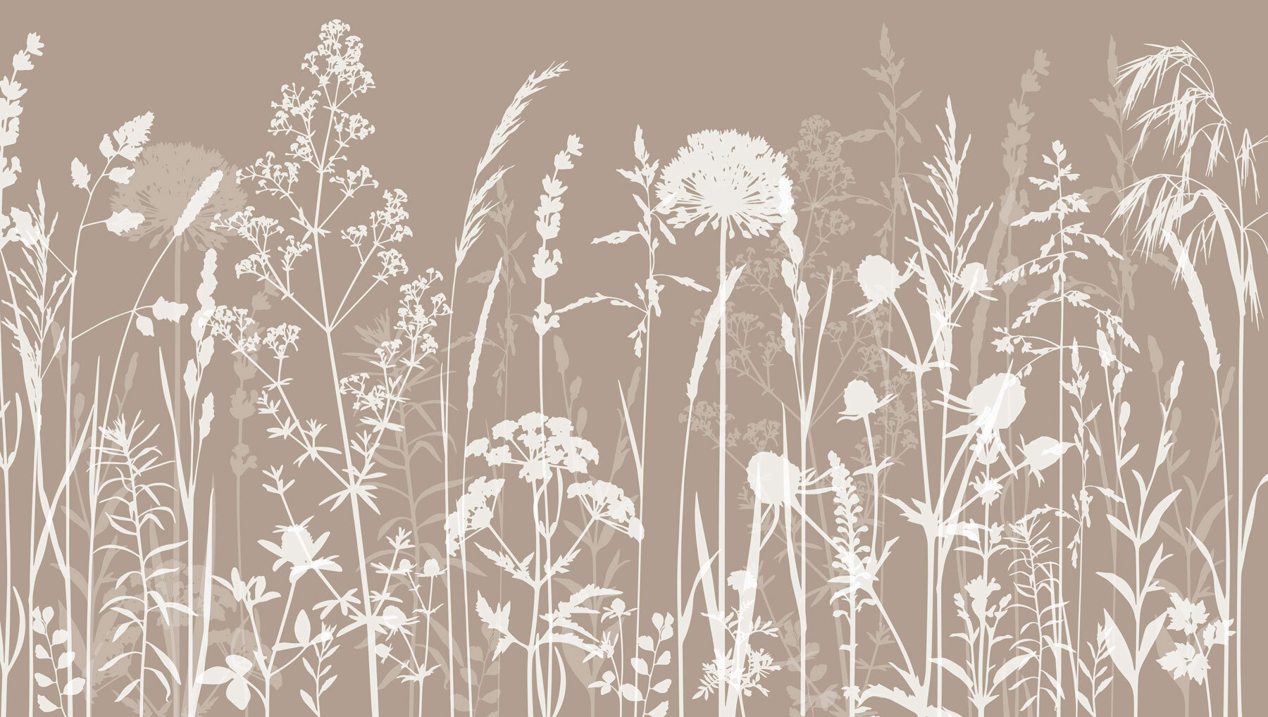 A close up of flowers A close up of flowers