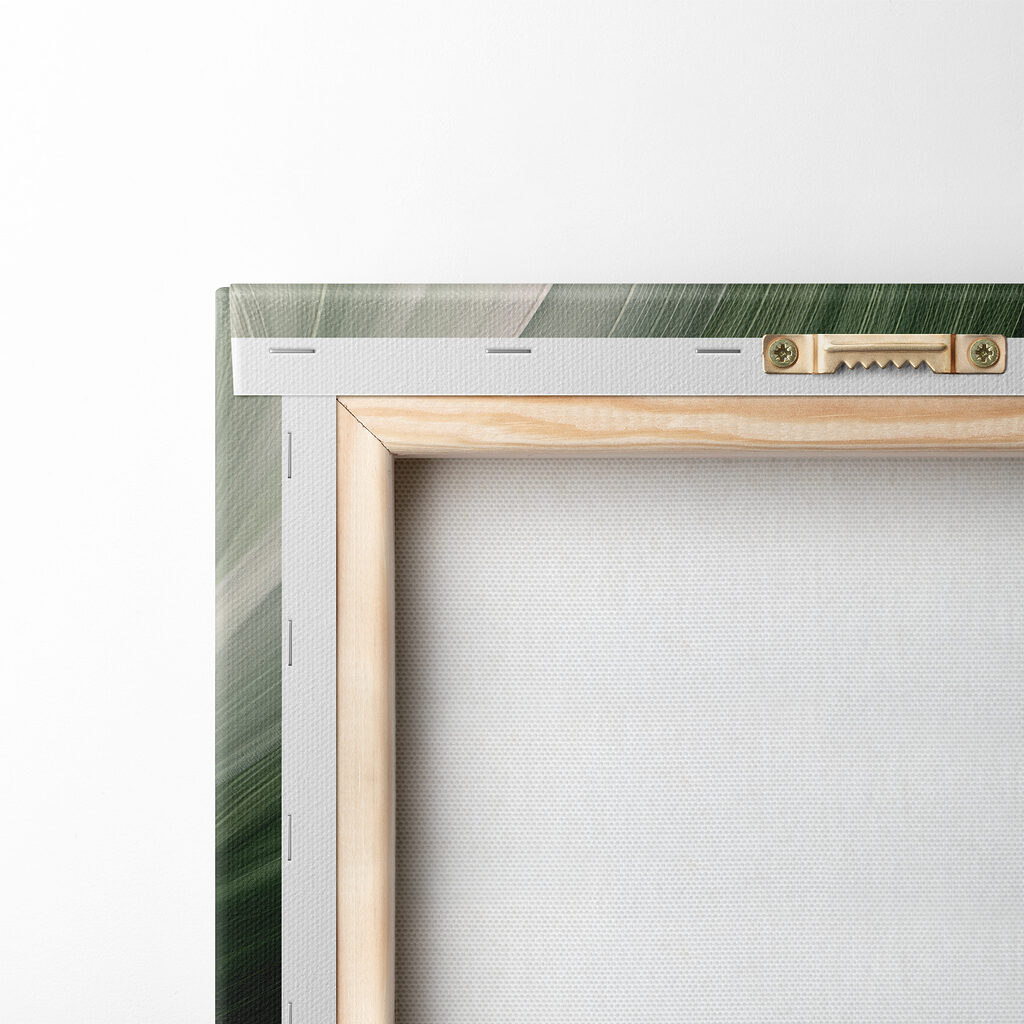 A close up of leaves