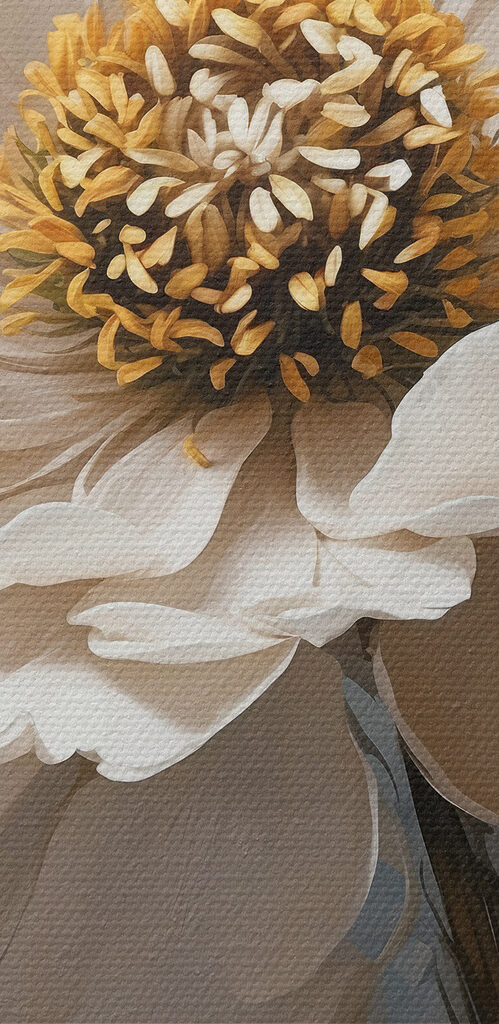 A white flower with yellow center A white flower with yellow center
