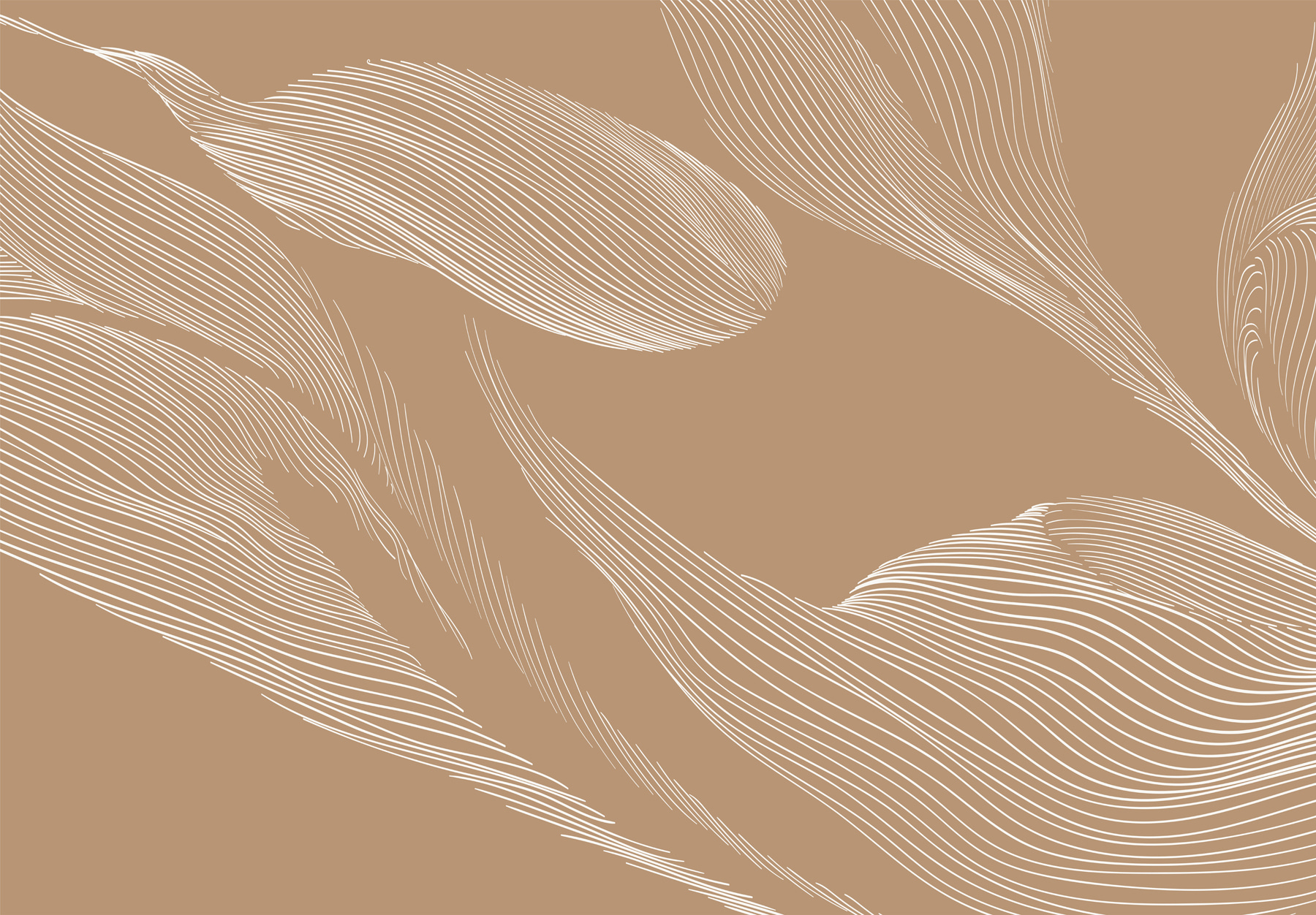 A white lines on a brown background