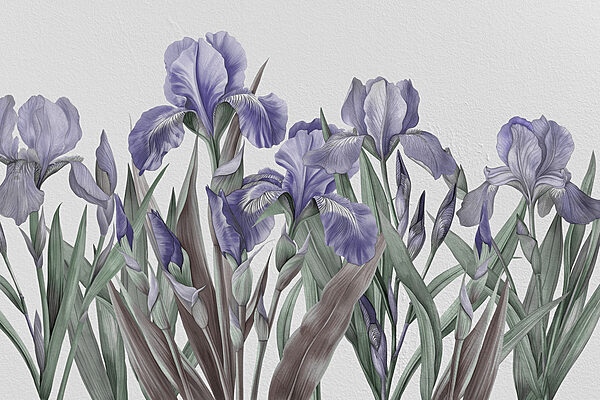 A group of purple flowers
