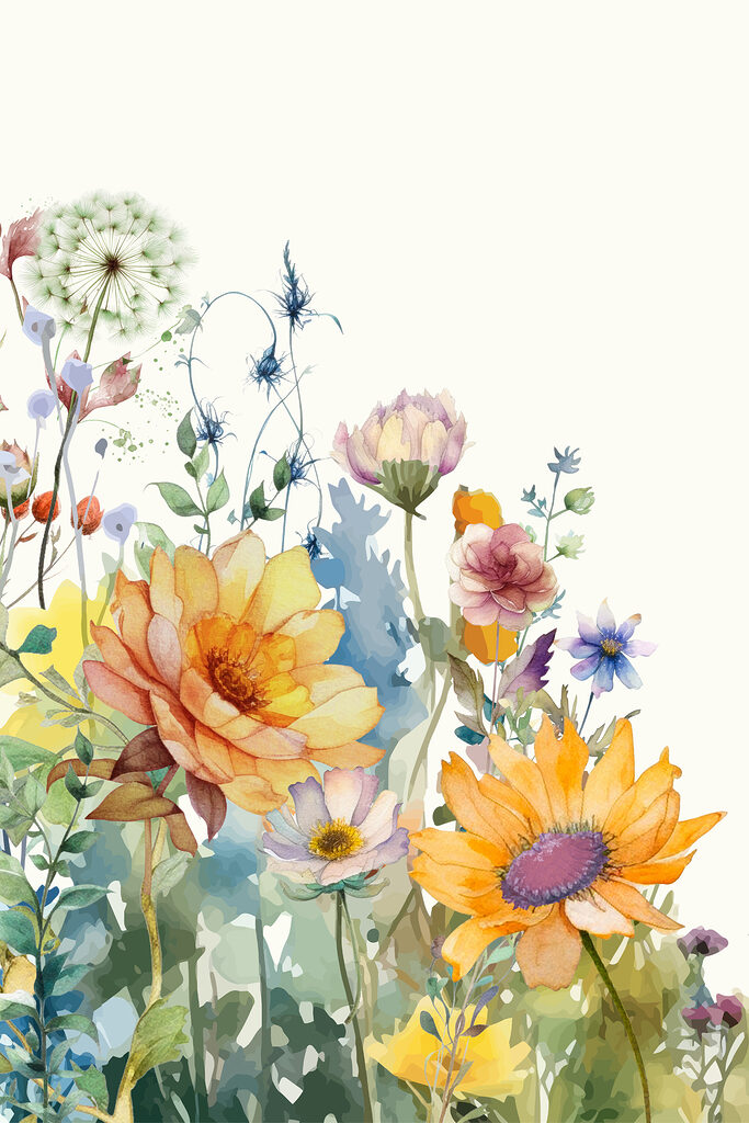 A close up of flowers A close up of flowers