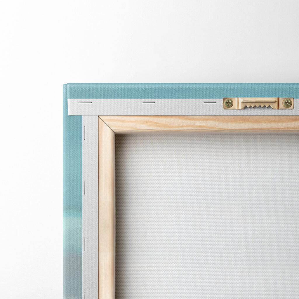 A group of shells and starfish on sand