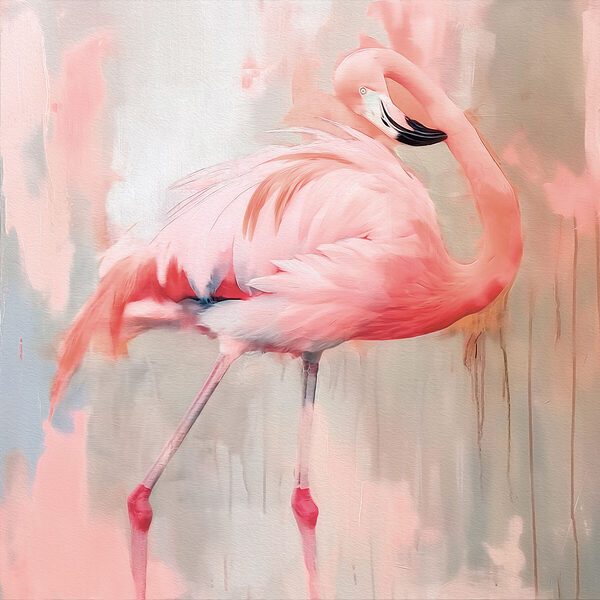Rózsaszín flamingó hosszú lábakkal Rózsaszín flamingó hosszú lábakkal