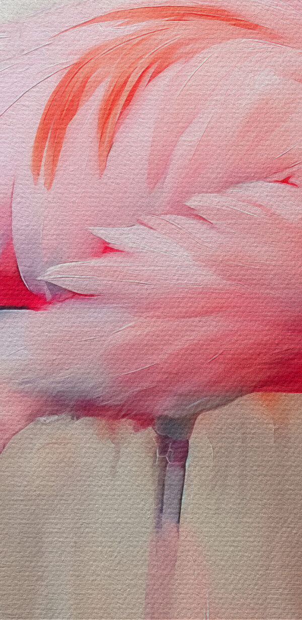 Rózsaszín flamingó hosszú lábakkal Rózsaszín flamingó hosszú lábakkal