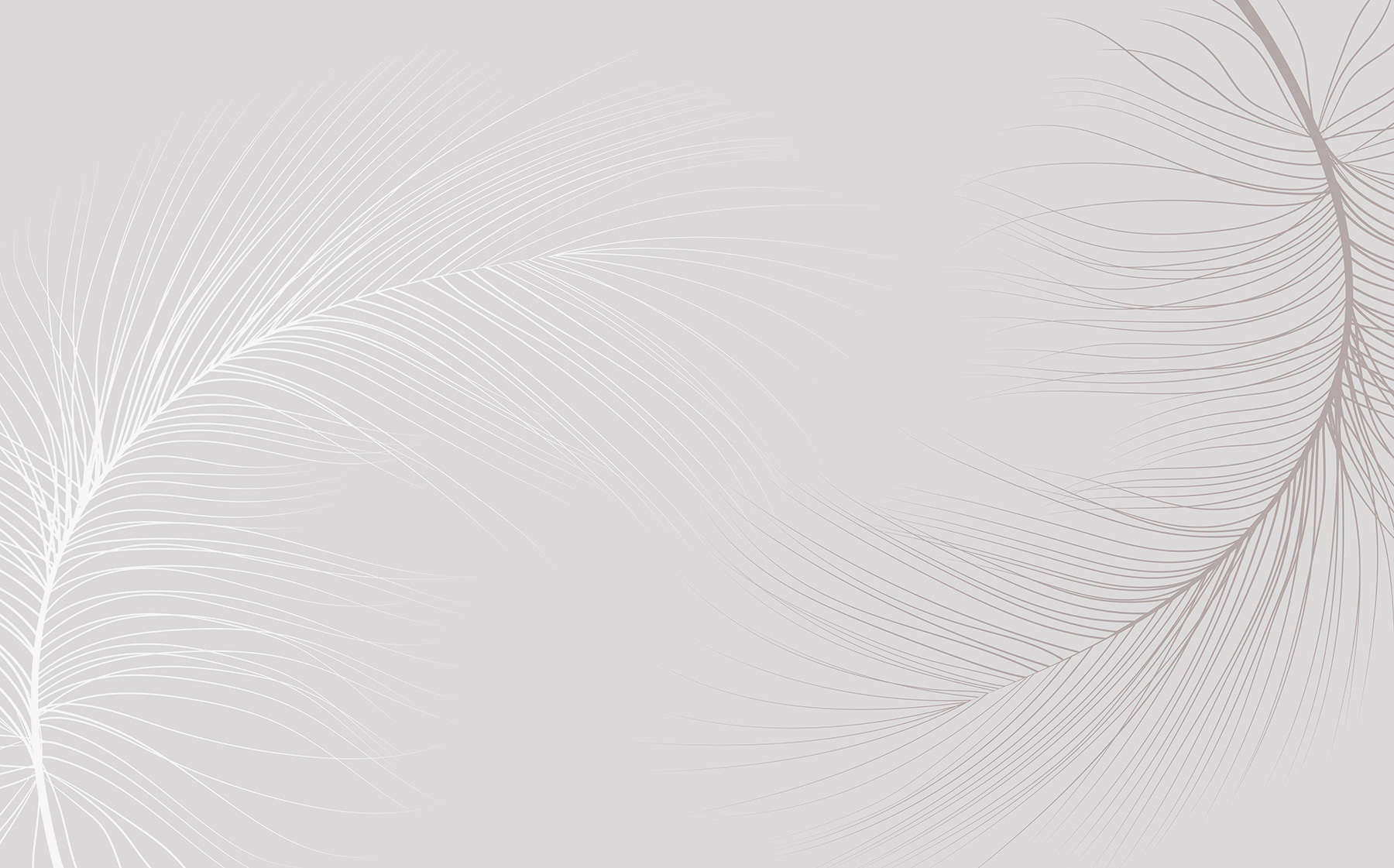 White background with lines