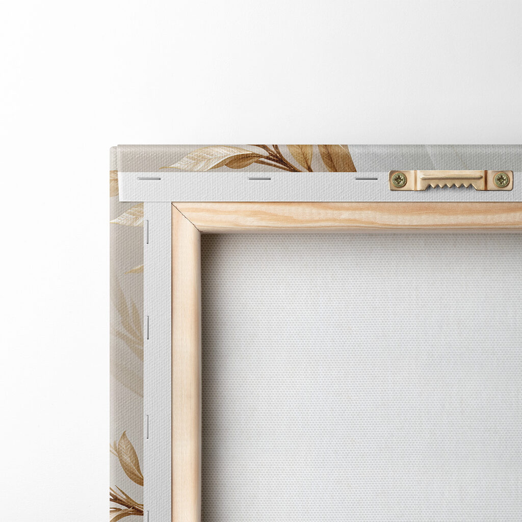 Close up of a white flower