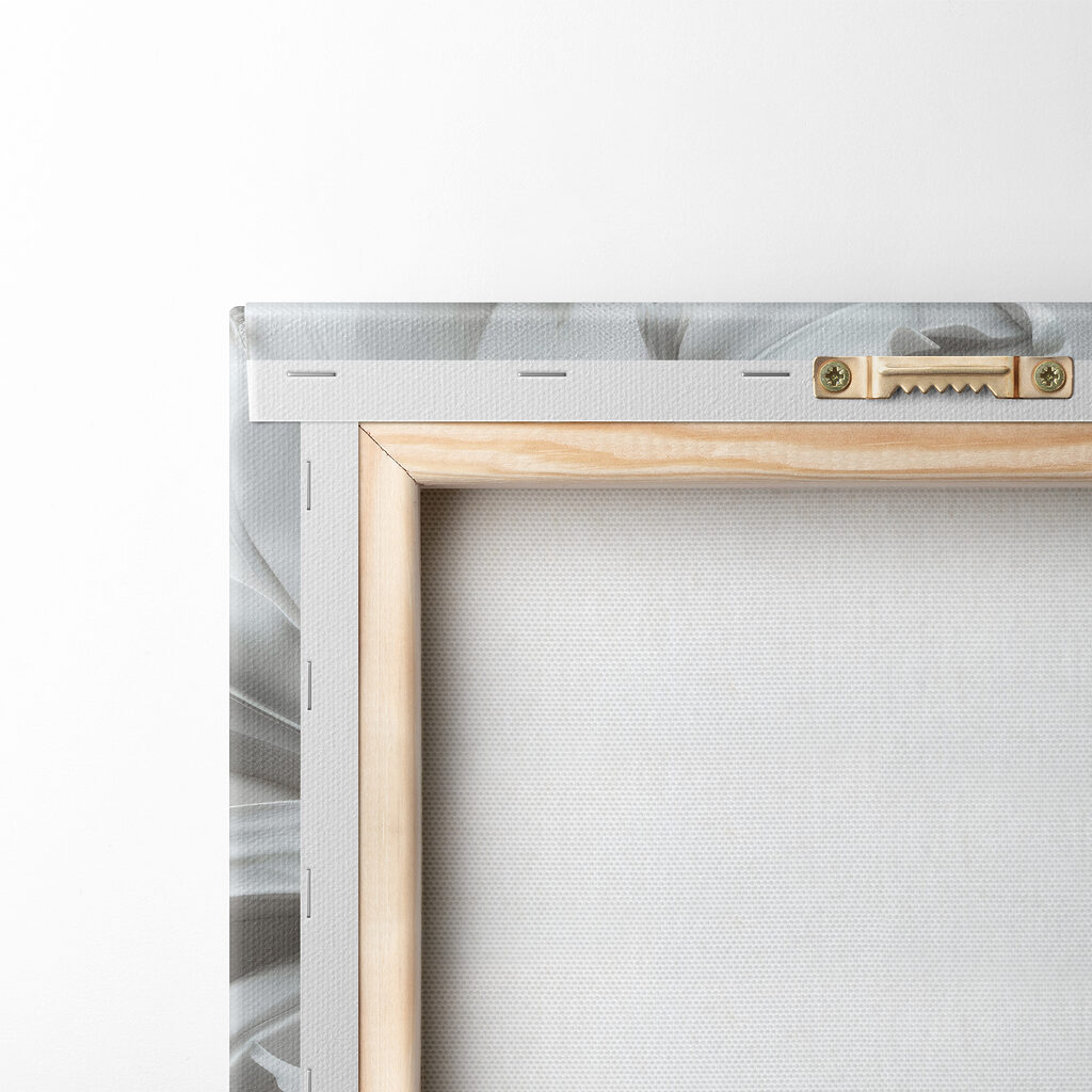 White flower on a white surface