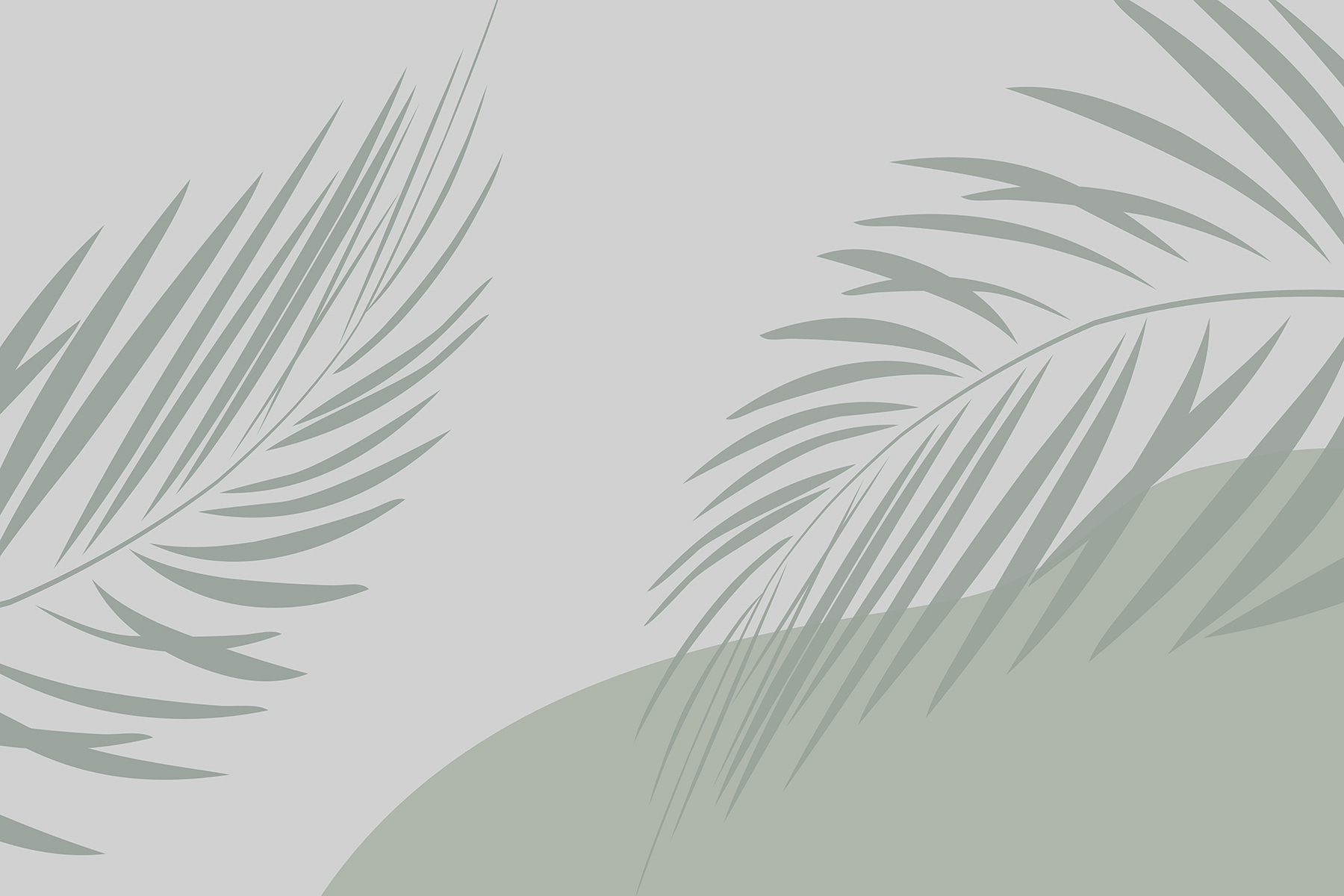 Palm leaves on a grey background
