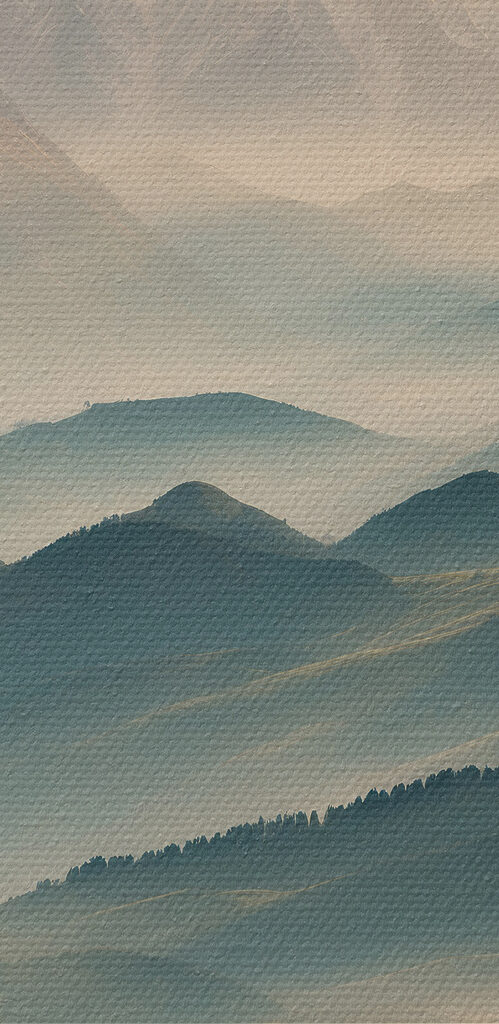 Mountain range with trees and fog