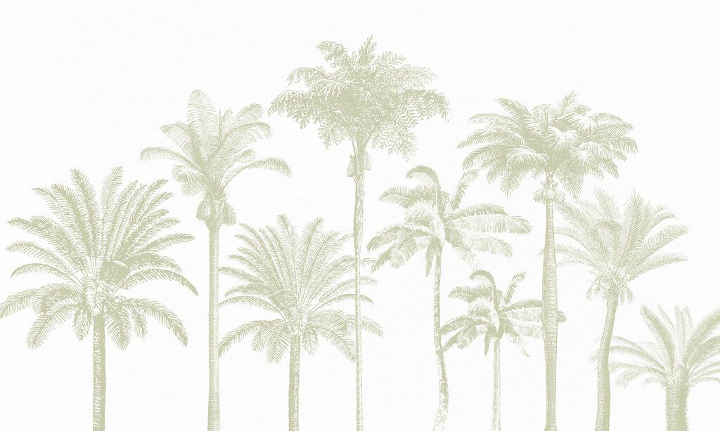 Group of palm trees