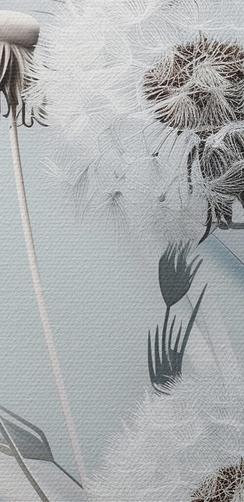 Close up of flowers Close up of flowers