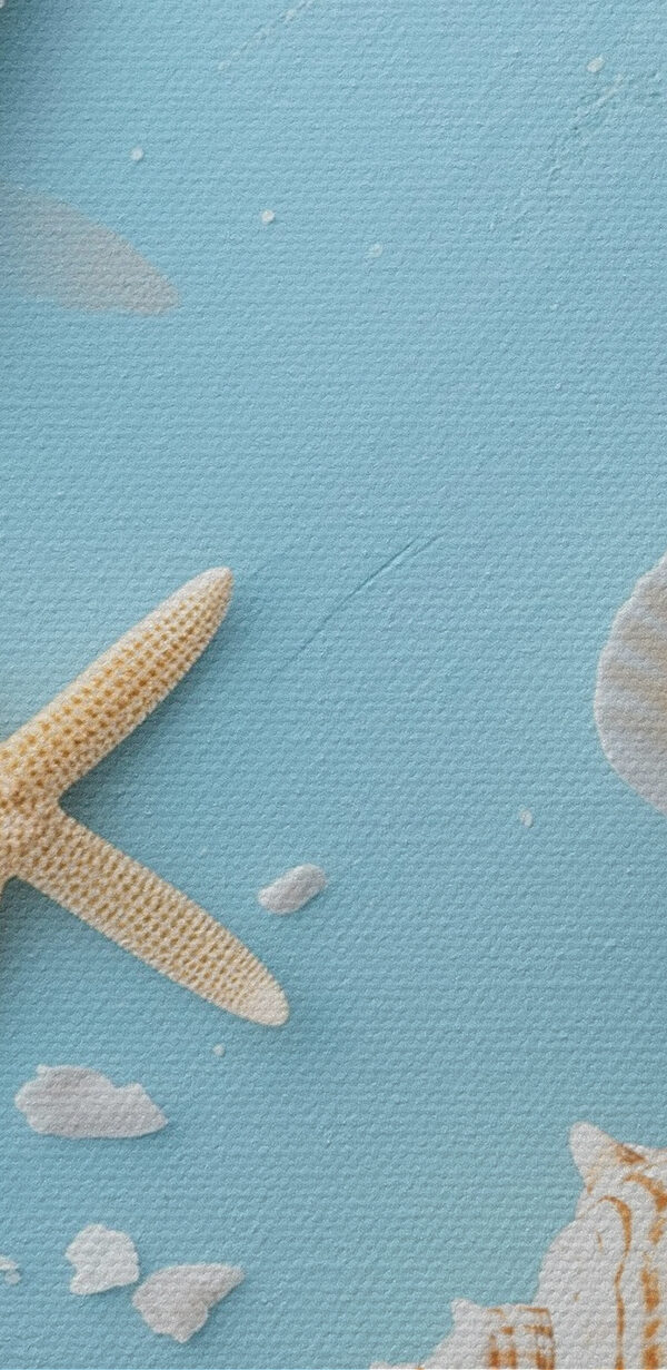 Group of seashells and starfish on sand