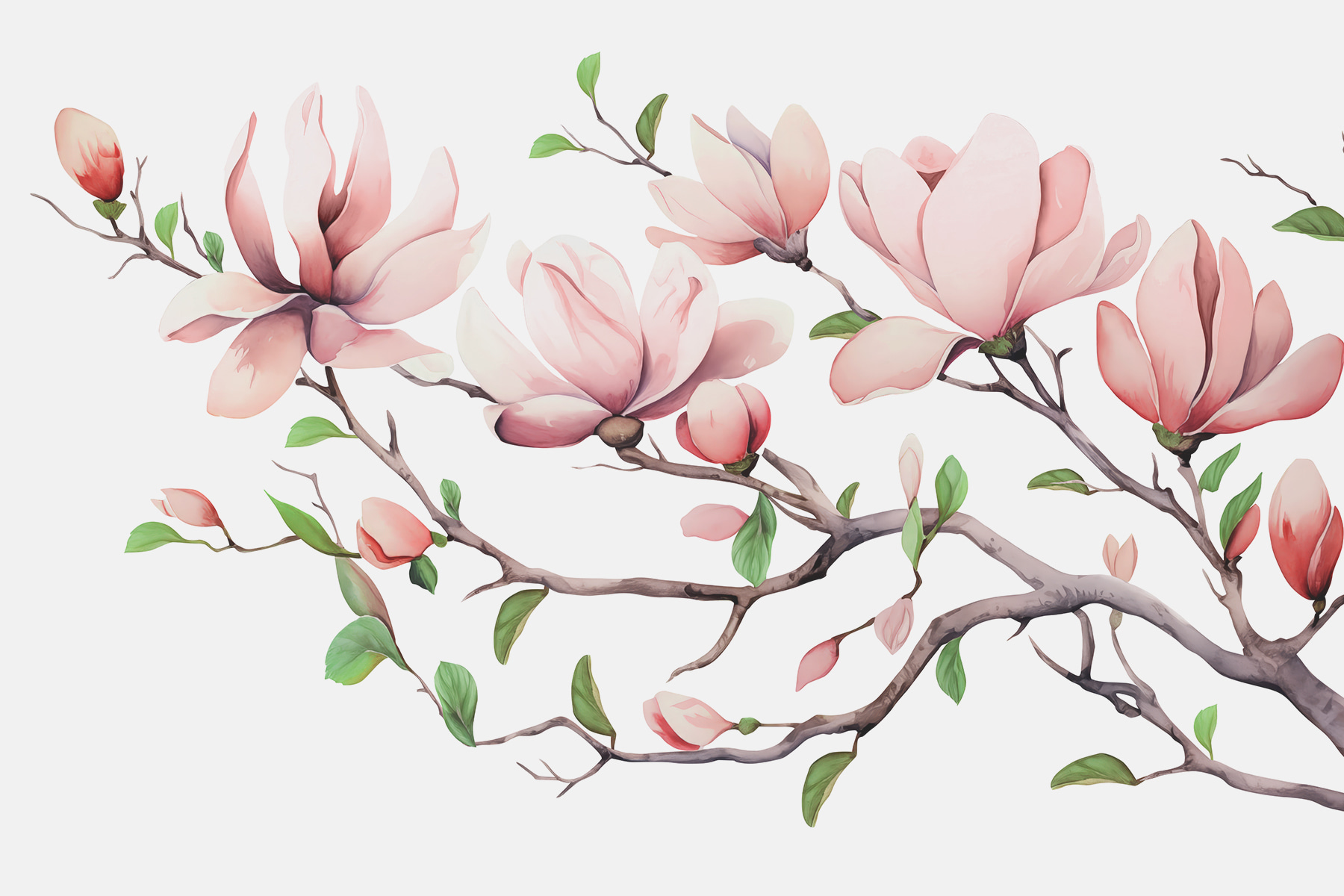 Branch with pink flowers and leaves