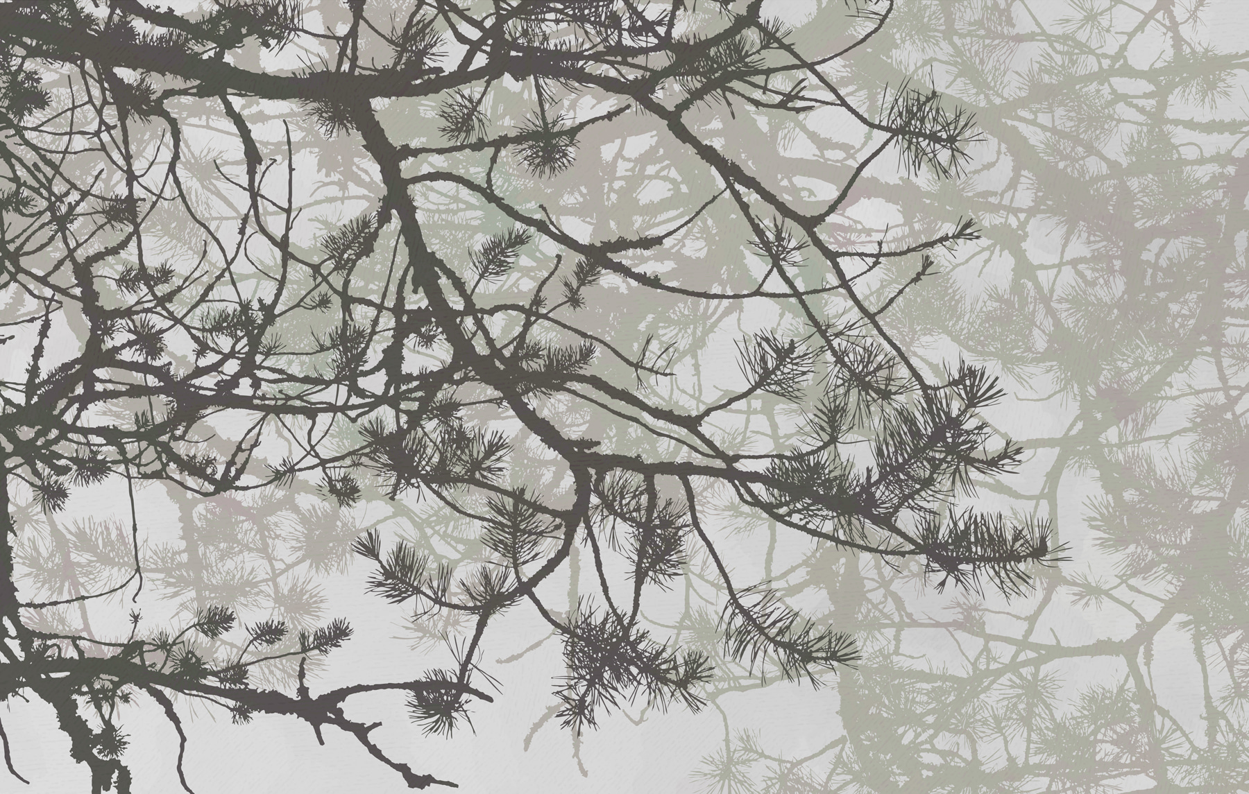 Tree branches with needles