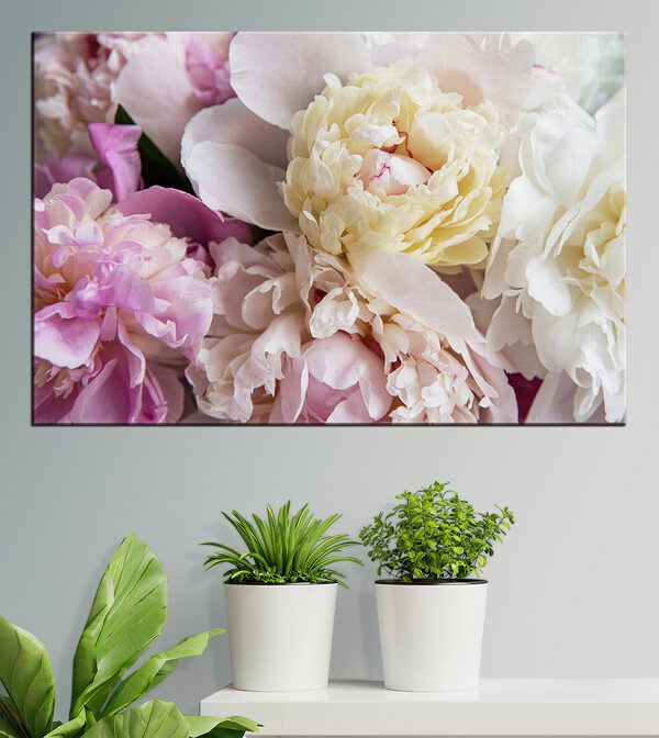 Delicate blooms in soft pastel shades Delicate blooms in soft pastel shades
