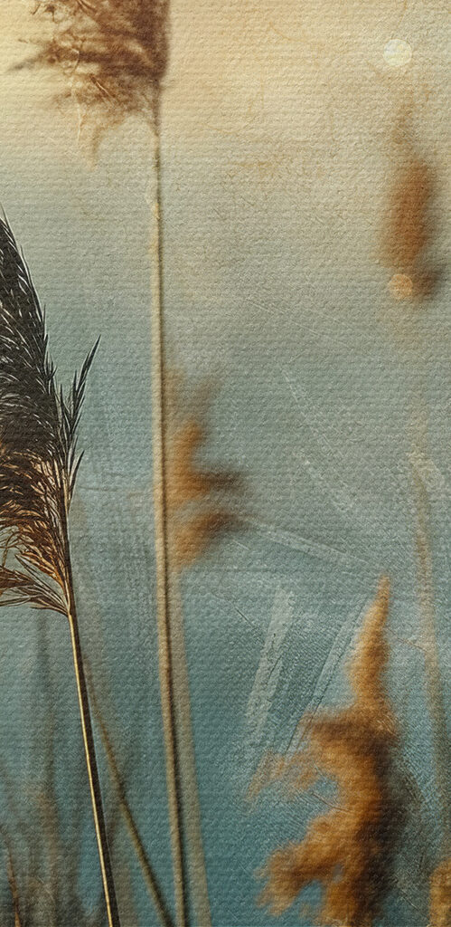 Close up of tall grass