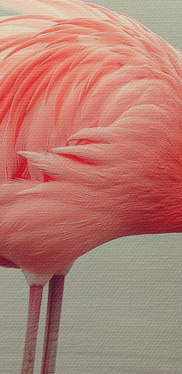 Vízben álló flamingó Vízben álló flamingó