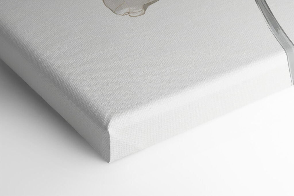 Close up of a flower Close up of a flower