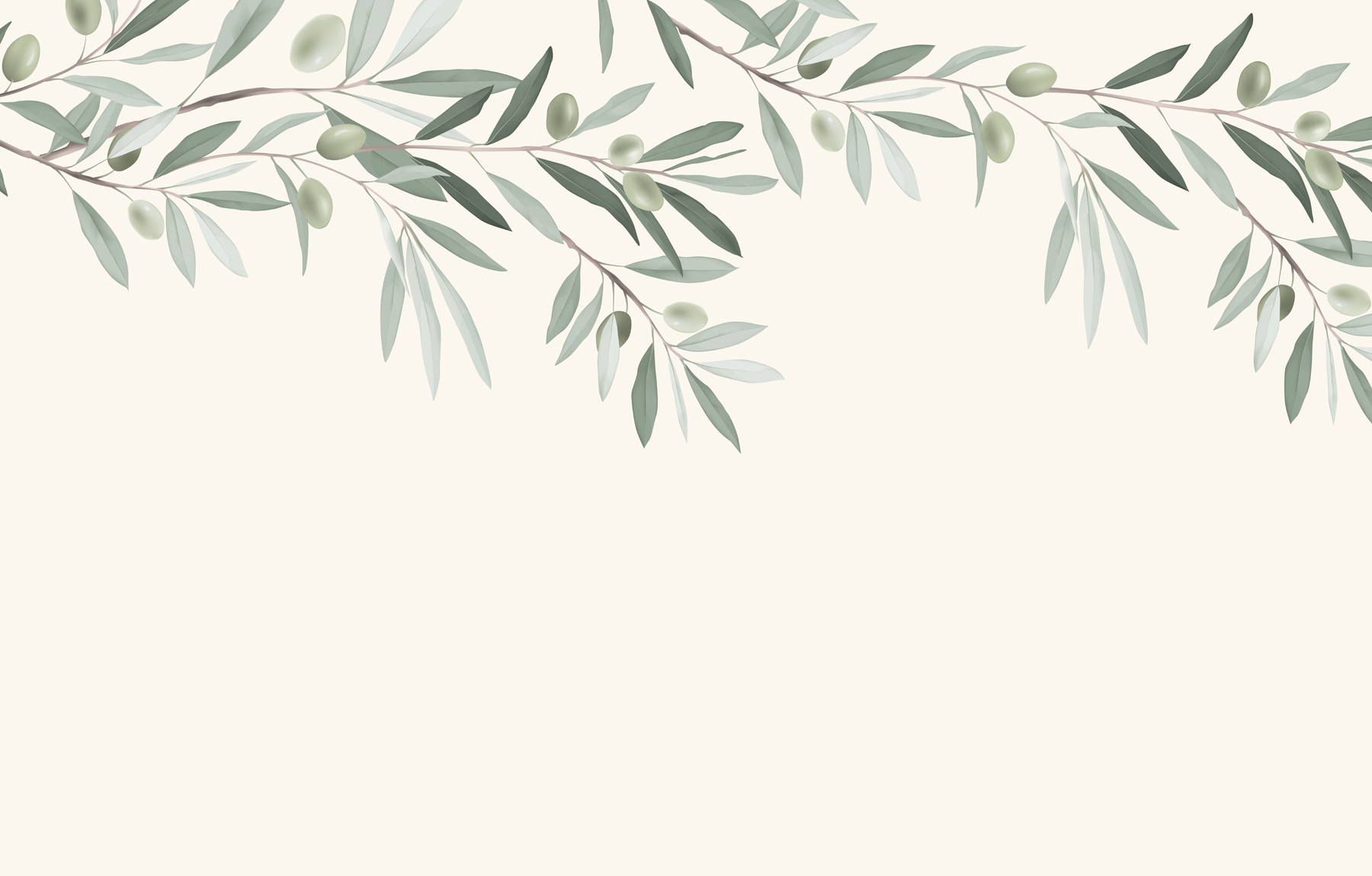 Branch with leaves and olives