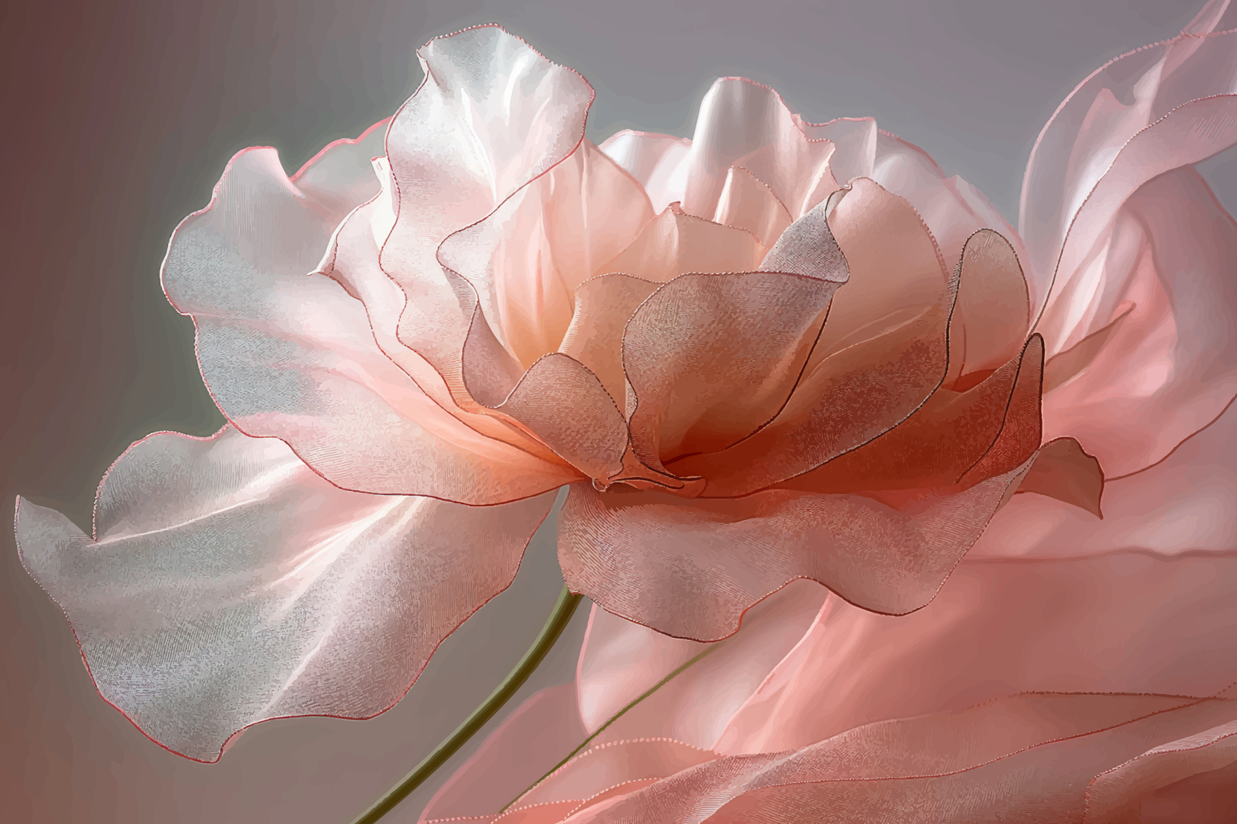 Close up of a flower Close up of a flower