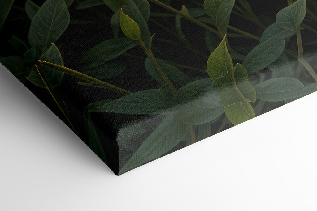 Field of pink flowers with a tree and mountains in the background