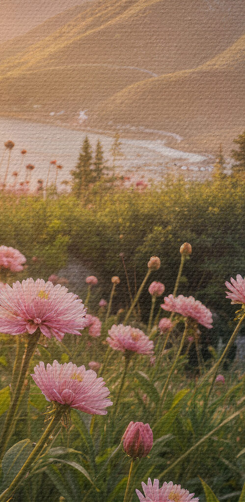 Field of pink flowers with a tree and mountains in the background
