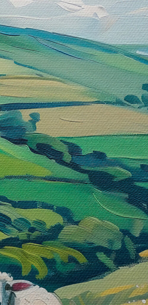 Group of sheep on a grassy hill