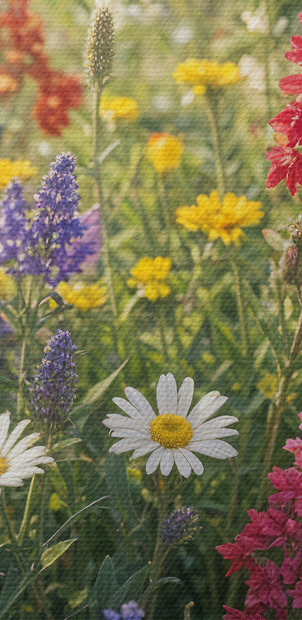 Színes virágok mezeje s40390pzvl 600x1231 - Színes virágok mezeje