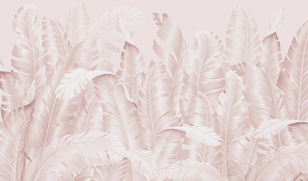 Group of white feathers