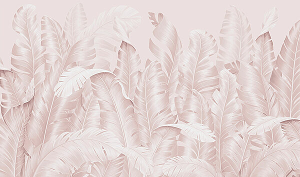 Group of white feathers