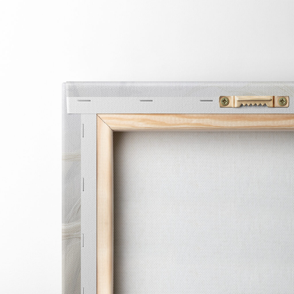 Two white horses with long manes