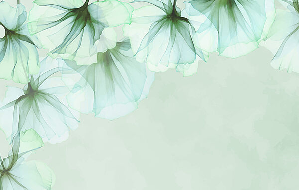 Close up of flowers