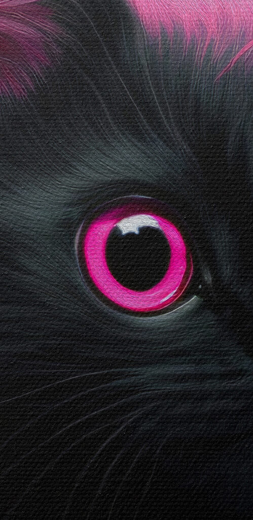 Black cat with pink hair