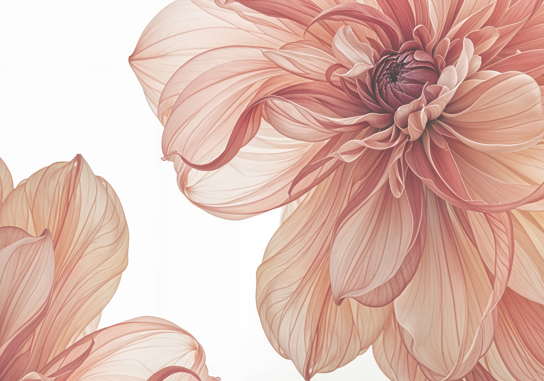 Close up of a flower