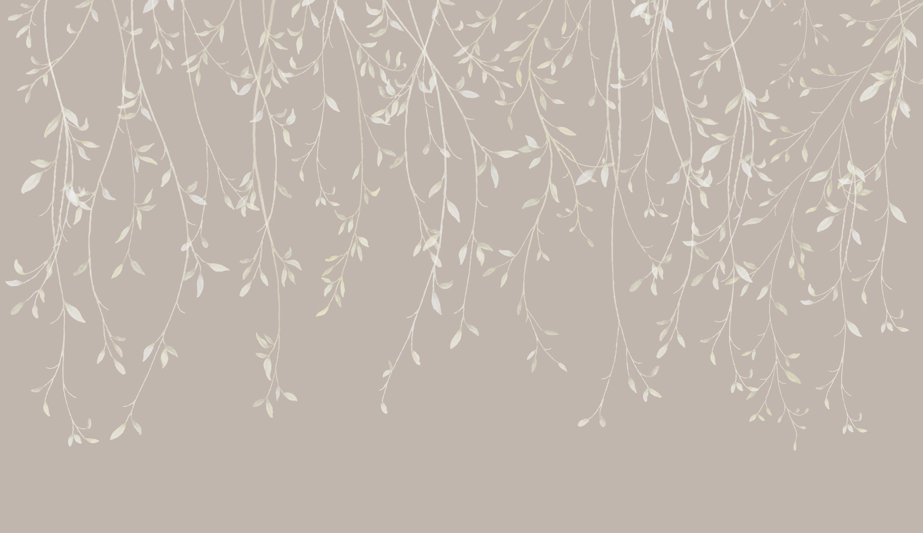 Close up of a plant Close up of a plant