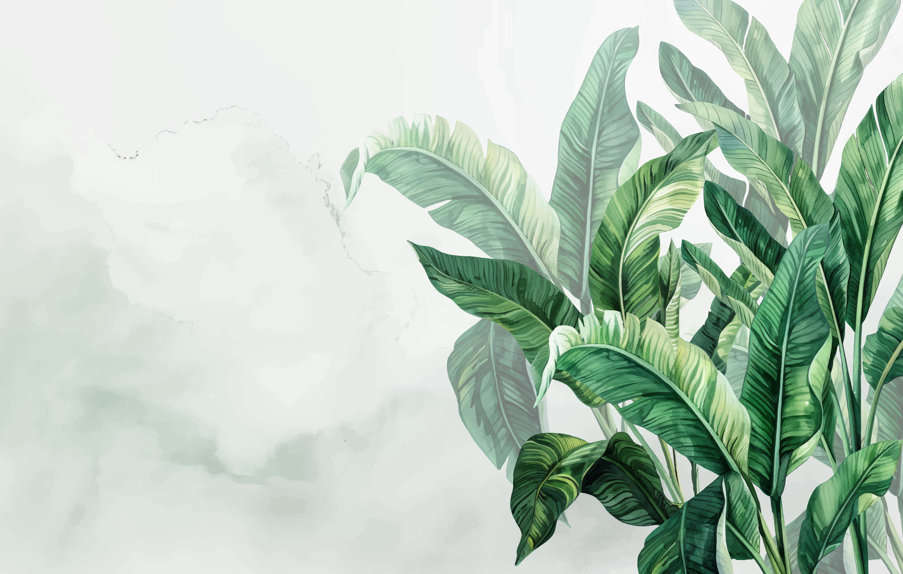 Close up of a plant Close up of a plant