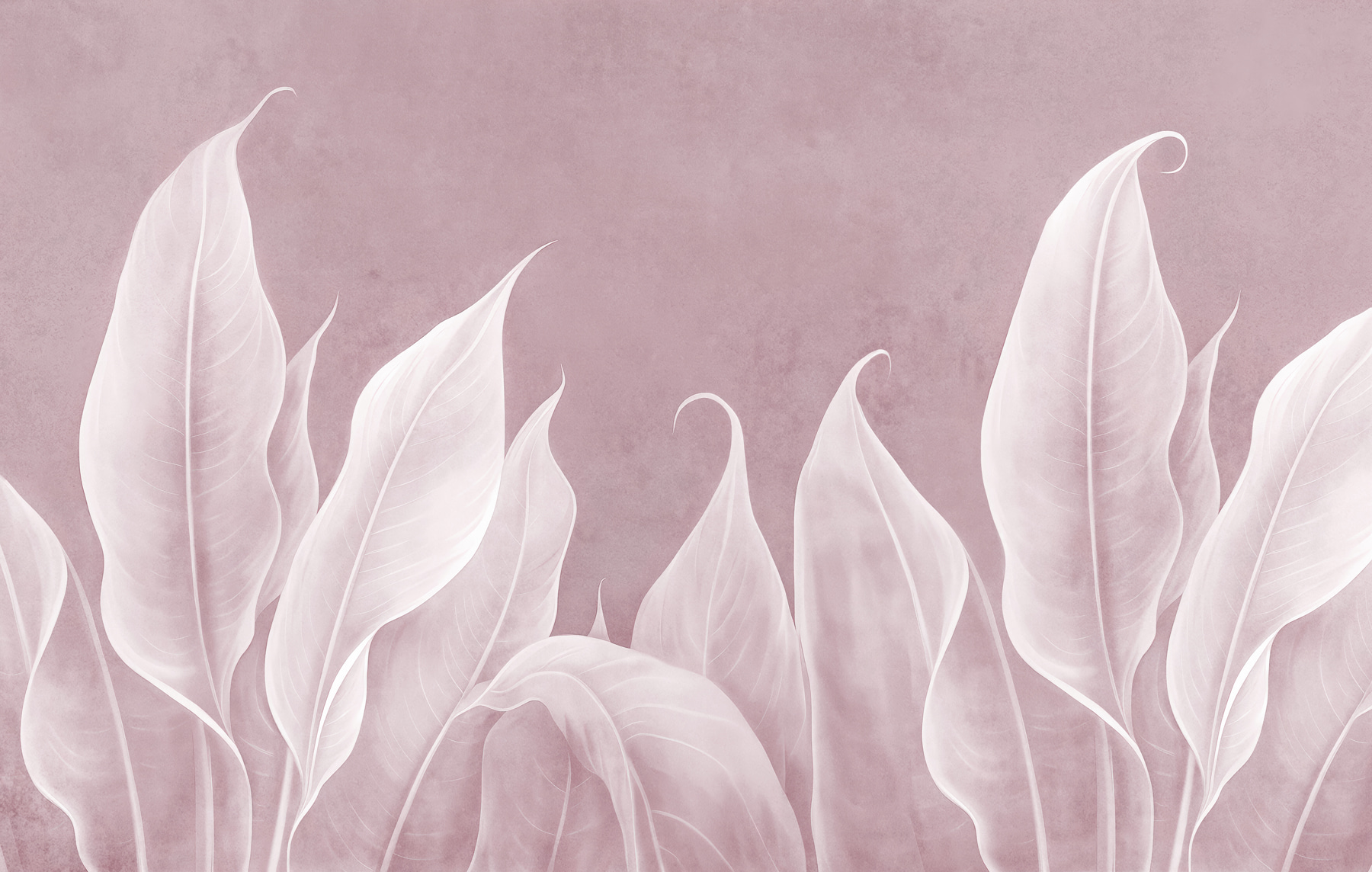 Close up of leaves