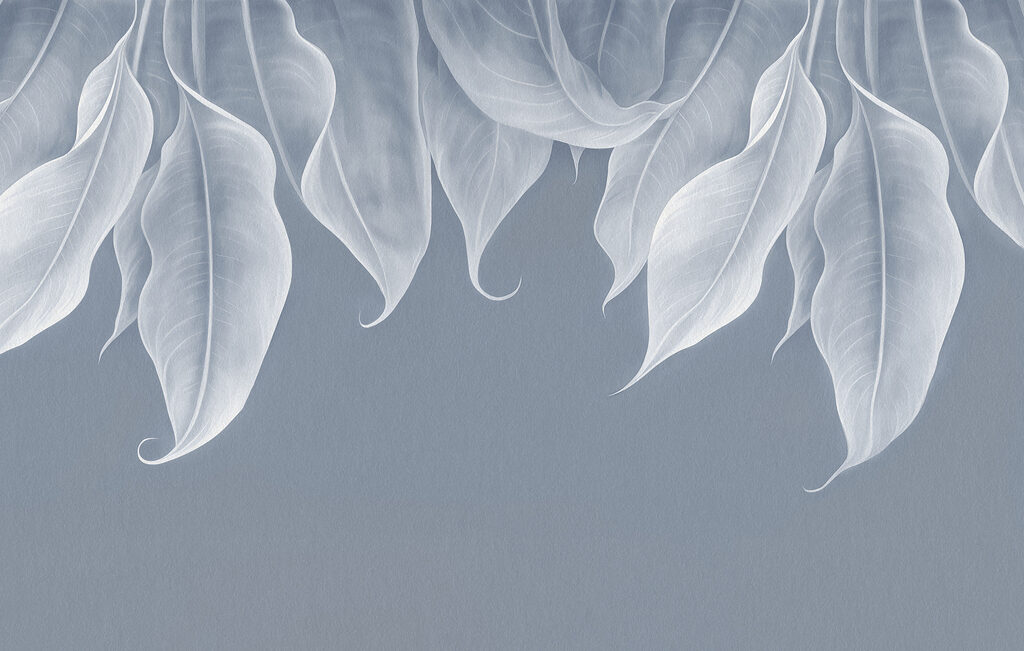 Wall murals Close up of leaves Wall murals Close up of leaves