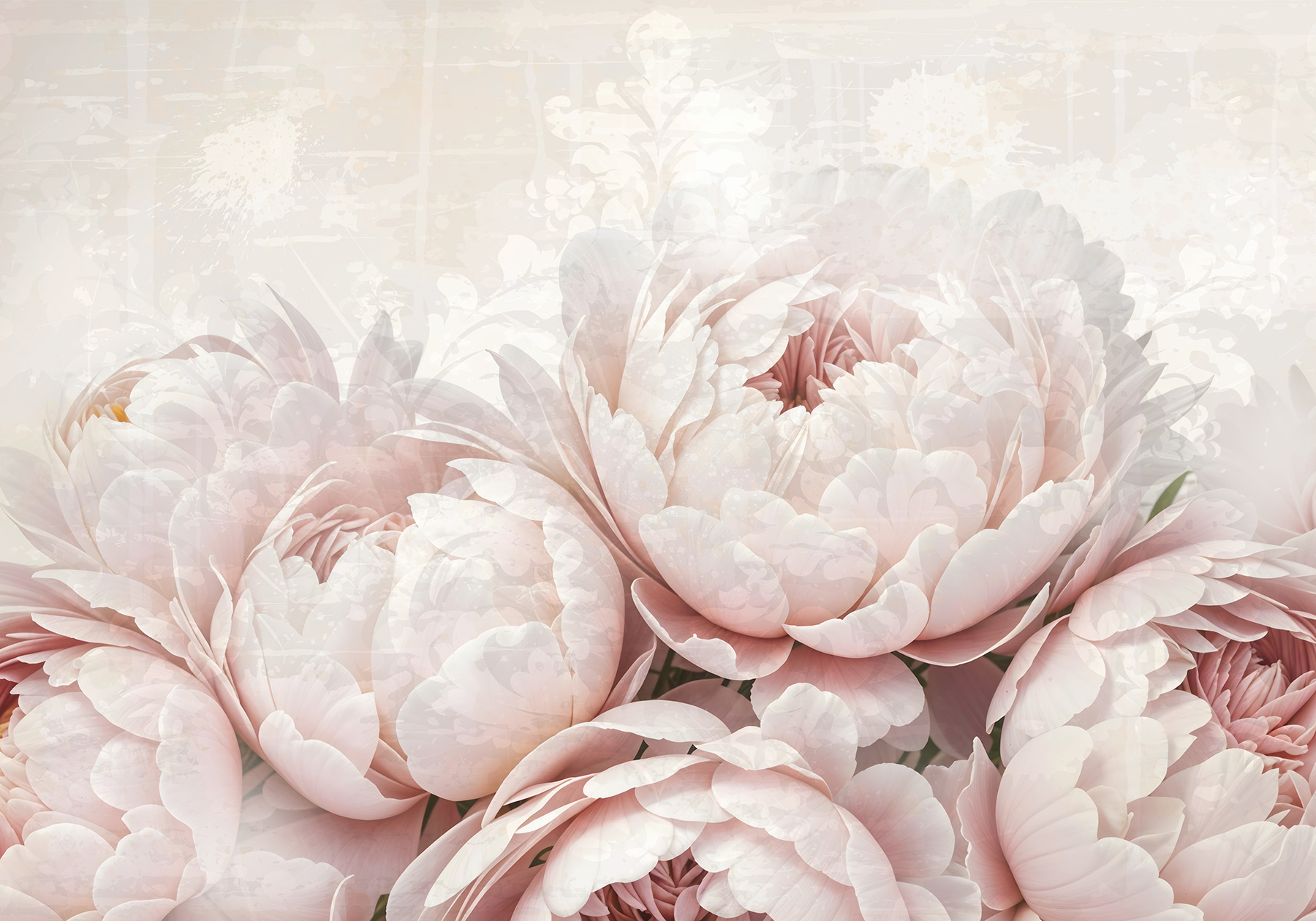 Group of pink flowers Group of pink flowers