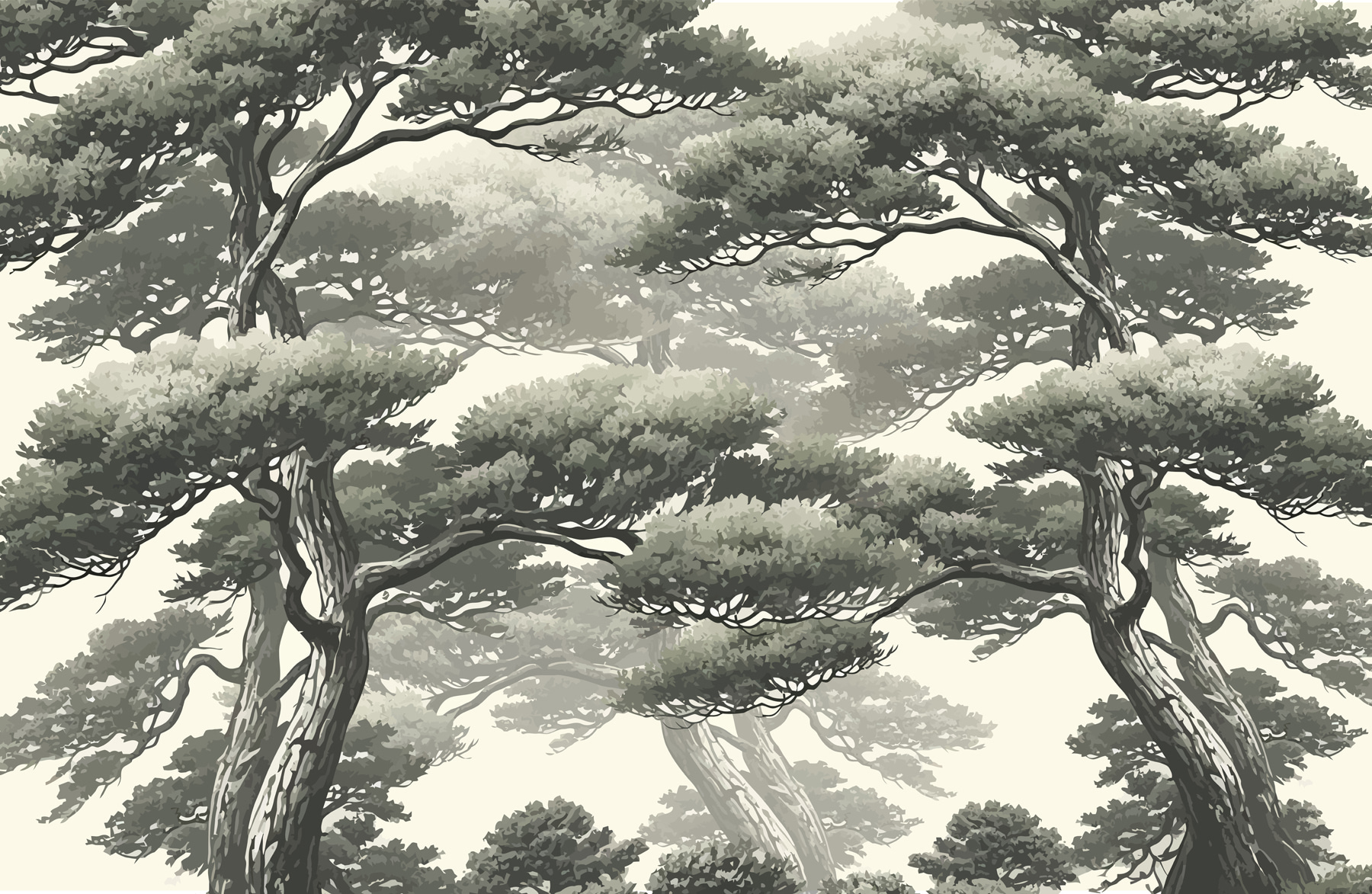 Group of trees with many branches